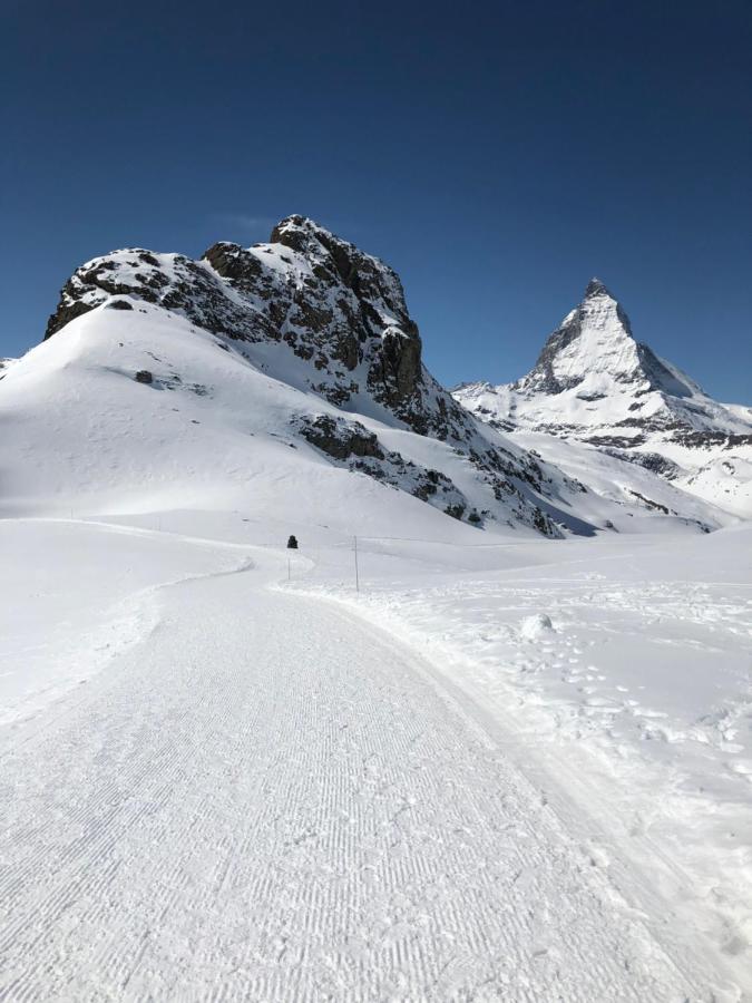 Chalet Memory Apartamento Zermatt Exterior foto